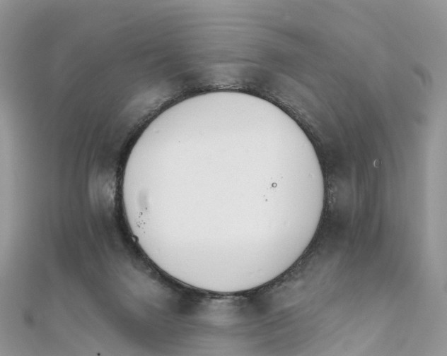 X0000111510072200908111318