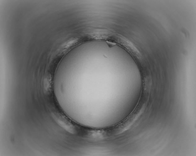X0000111510073200908111318