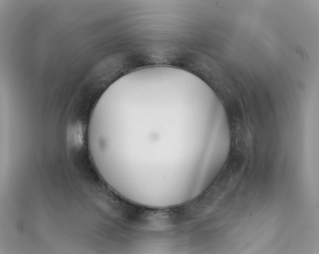 X0000111510075200908111318
