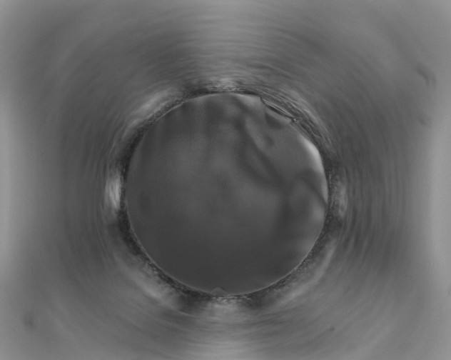 X0000111510076200908111318