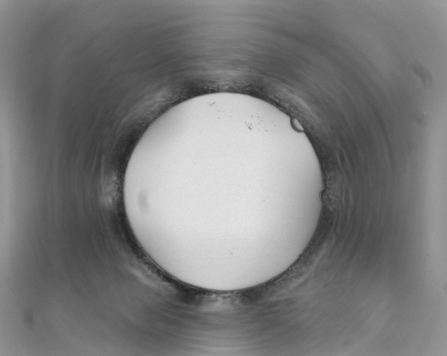 X0000111510077200908111318