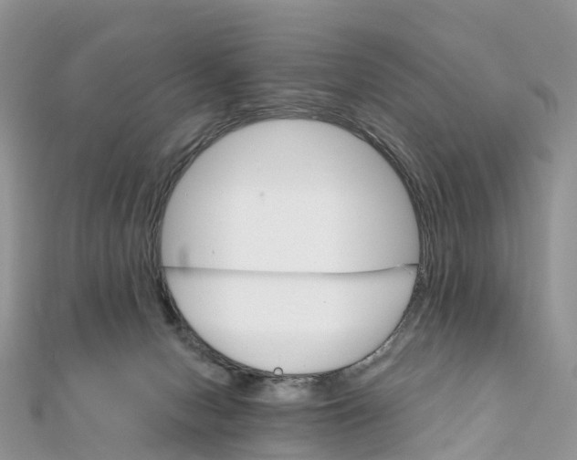 X0000111510078200908111318