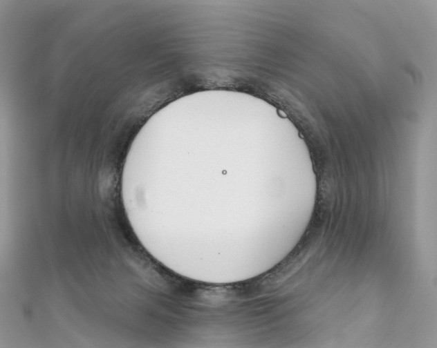 X0000111510079200908111318