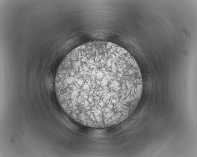 X0000111510081200908111318