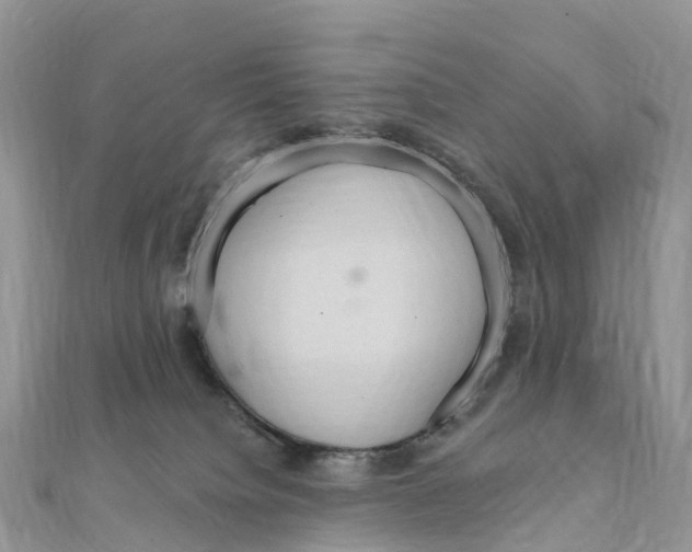 X0000111510084200908111318