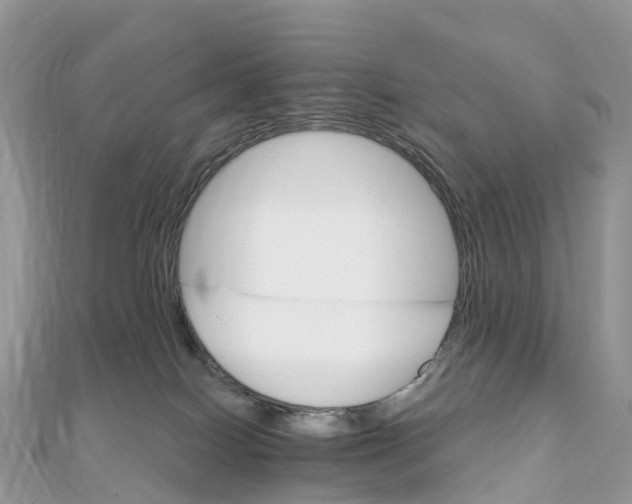 X0000111510086200908111318