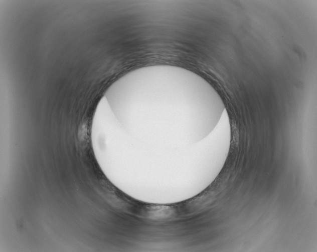 X0000111510087200908111318