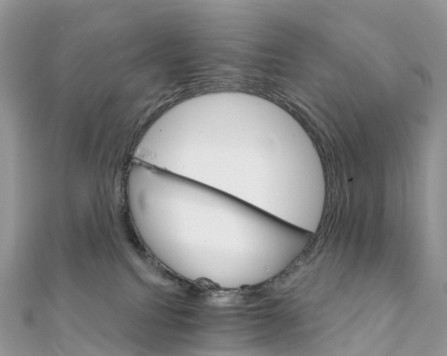 X0000111510088200908111318