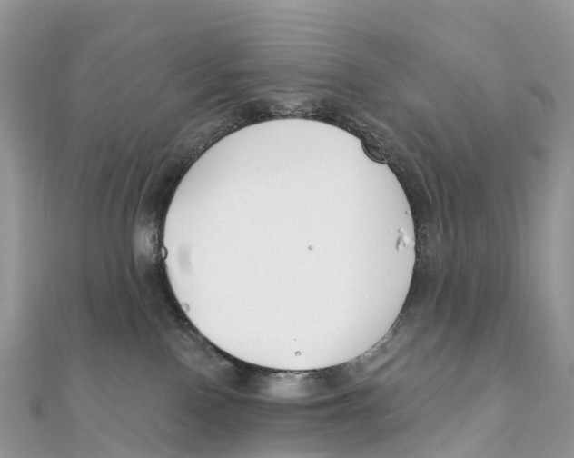 X0000111510090200908111318