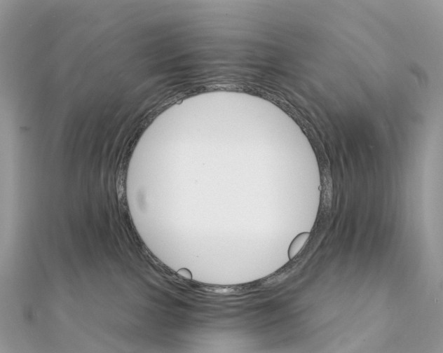 X0000111510091200908111318