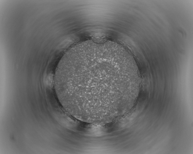 X0000111510093200908111318