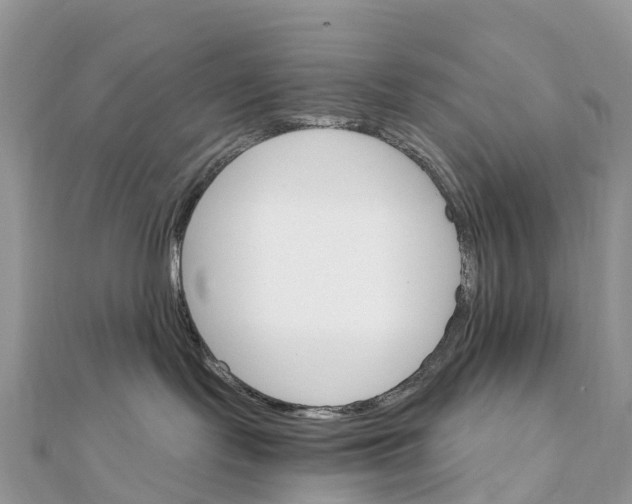 X0000111510095200908111318