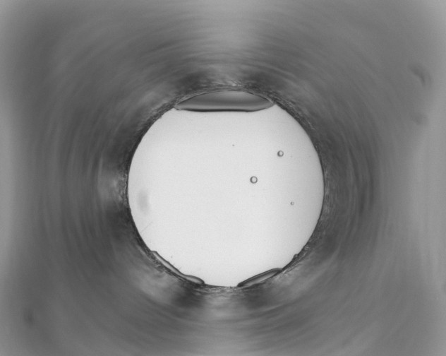 X0000111510096200908111318
