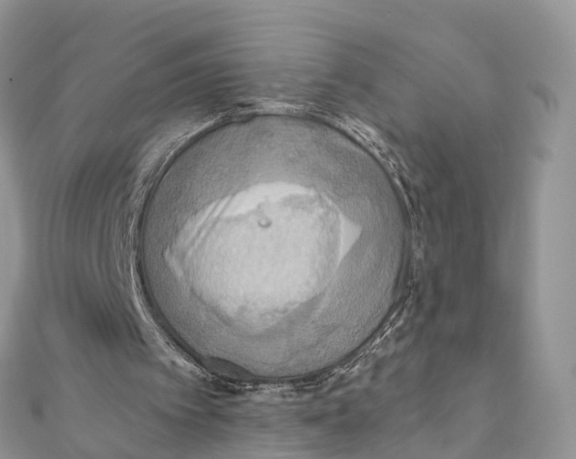 X0000111510097200908111318