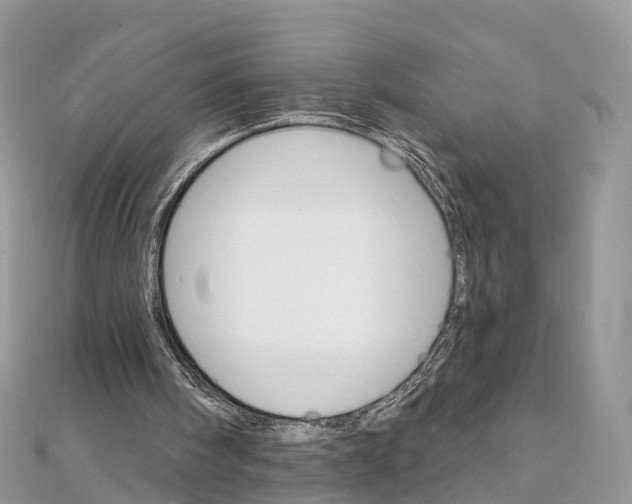 X0000111510098200908111318