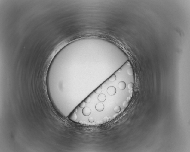 X0000111510099200908111318