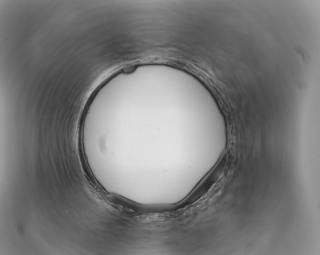 X0000111510100200908111318