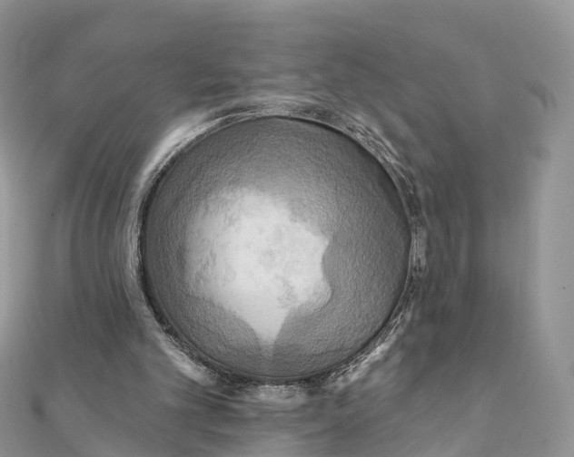 X0000111510101200908111318