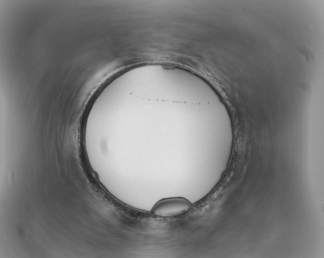 X0000111510103200908111318