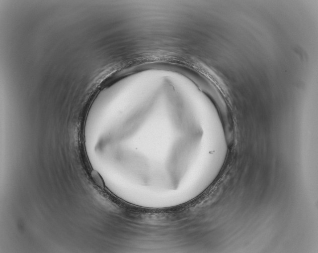 X0000111510105200908111318