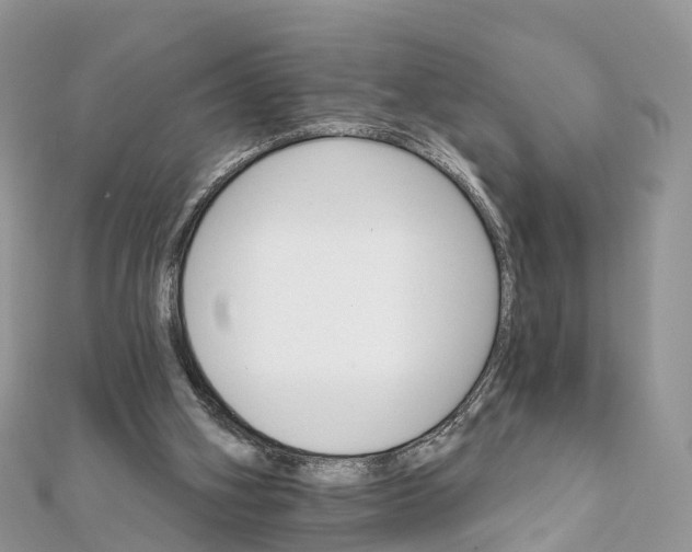 X0000111510106200908111318