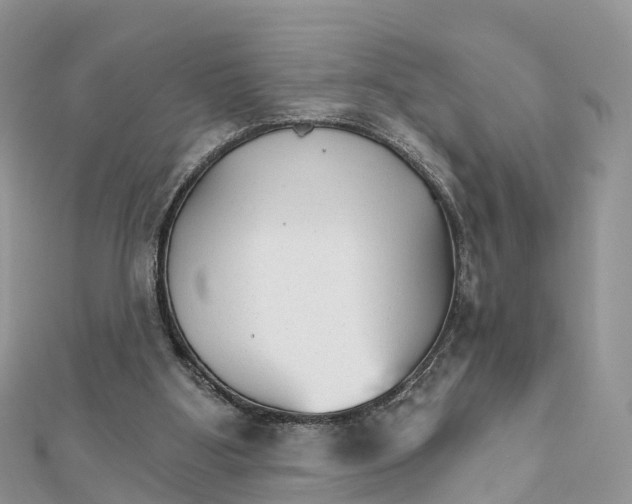 X0000111510107200908111318