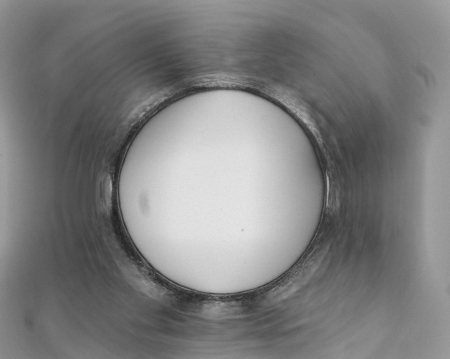 X0000111510109200908111318