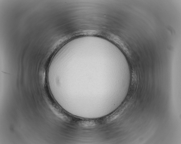 X0000111510110200908111318