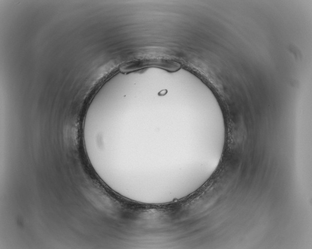 X0000111510111200908111317