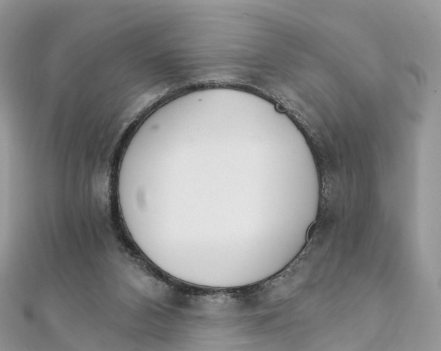X0000111510112200908111317