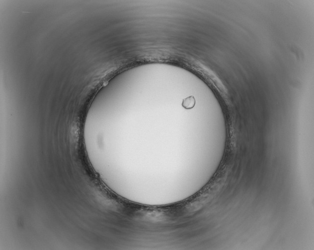 X0000111510113200908111317