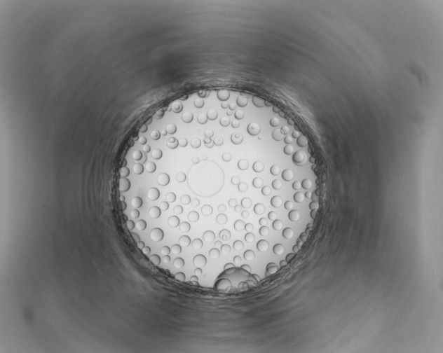 X0000111510115200908111317
