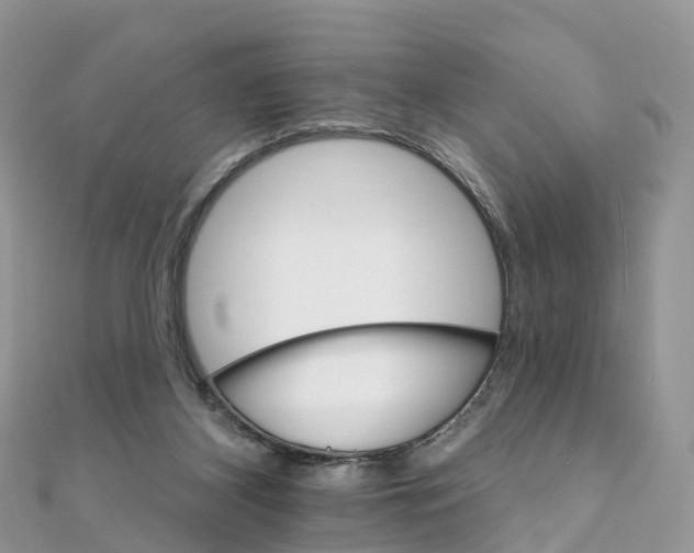 X0000111510116200908111317
