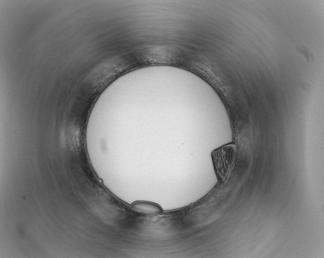 X0000111510117200908111317