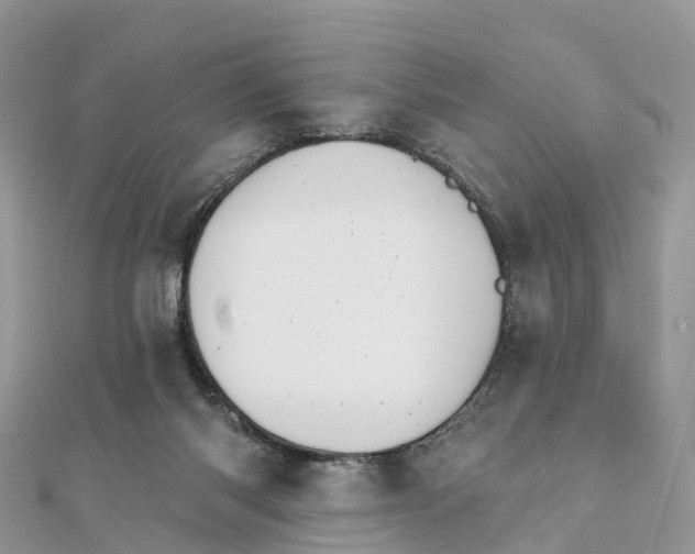 X0000111510118200908111317