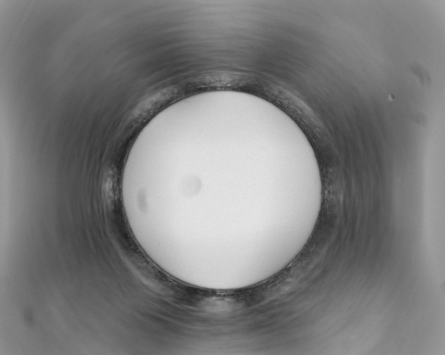 X0000111510119200908111317