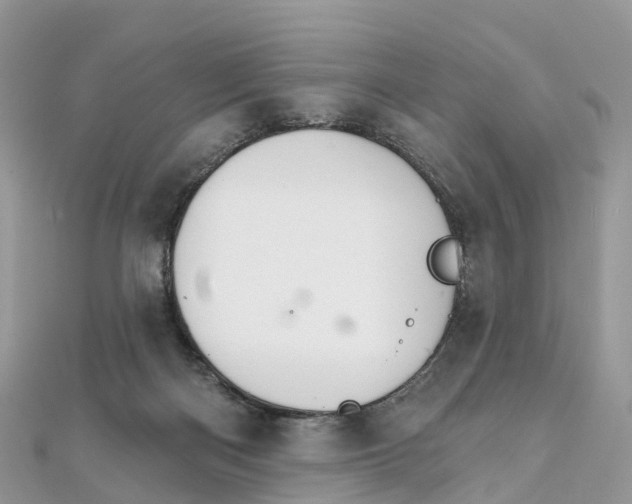 X0000111510122200908111317