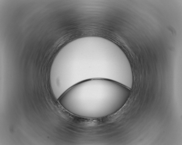 X0000111510124200908111317