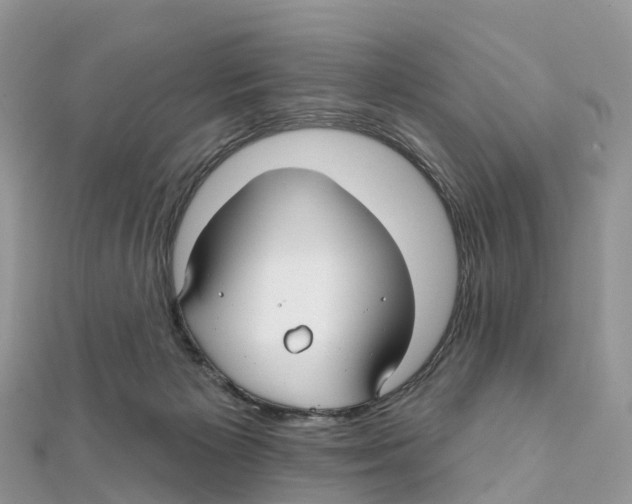 X0000111510125200908111317
