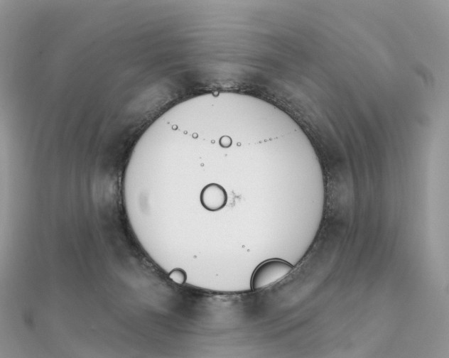 X0000111510126200908111317