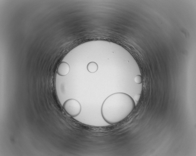 X0000111510127200908111317