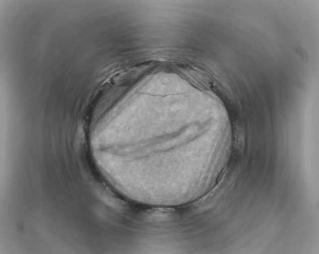X0000111510128200908111317