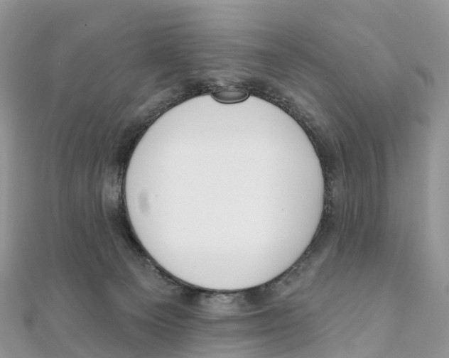 X0000111510129200908111317