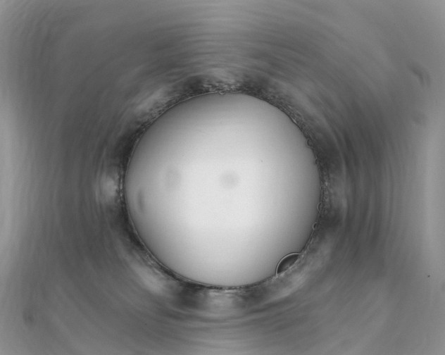 X0000111510134200908111317