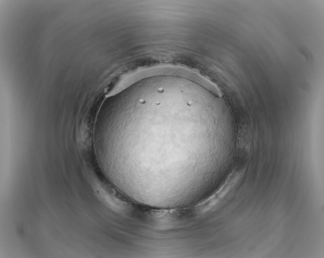 X0000111510136200908111317