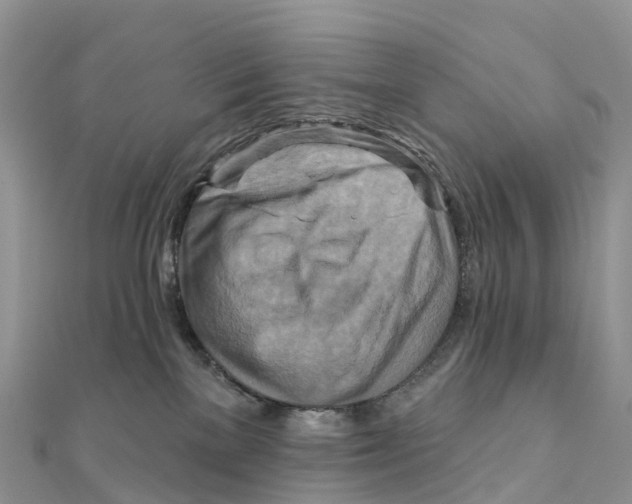 X0000111510137200908111317