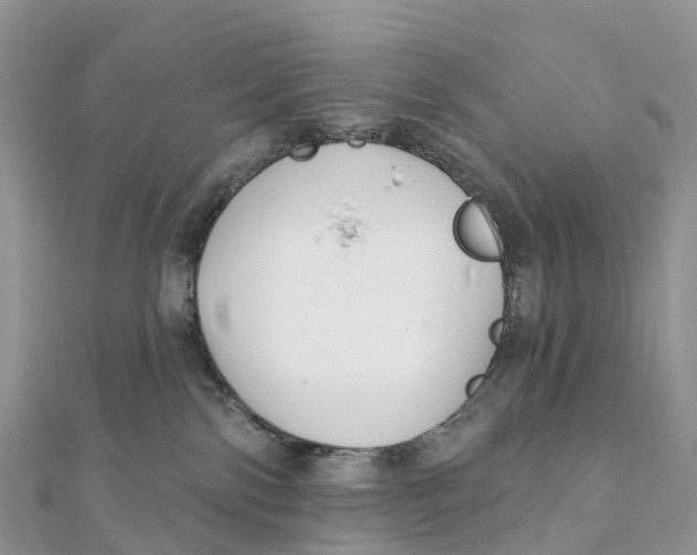 X0000111510138200908111317