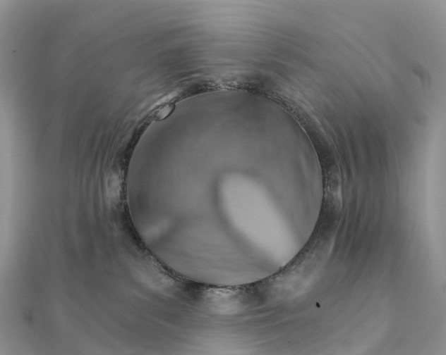 X0000111510139200908111317