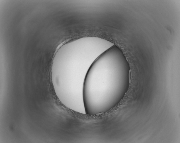 X0000111510144200908111317