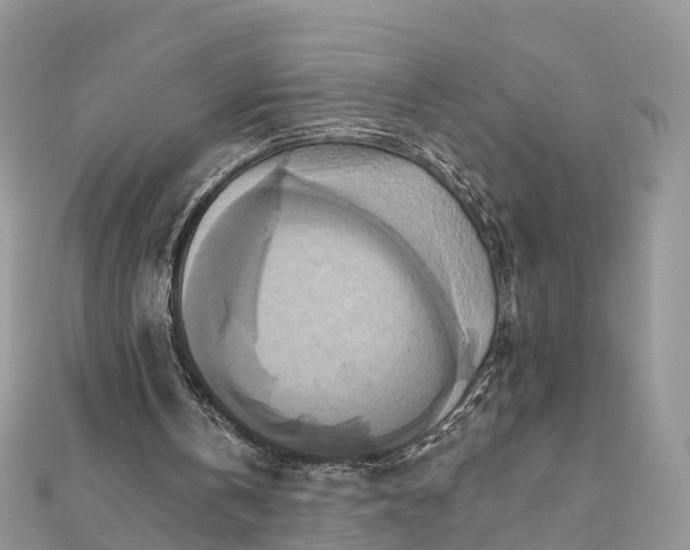 X0000111510146200908111316